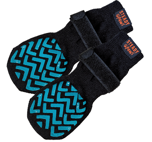 PawSockDuo2