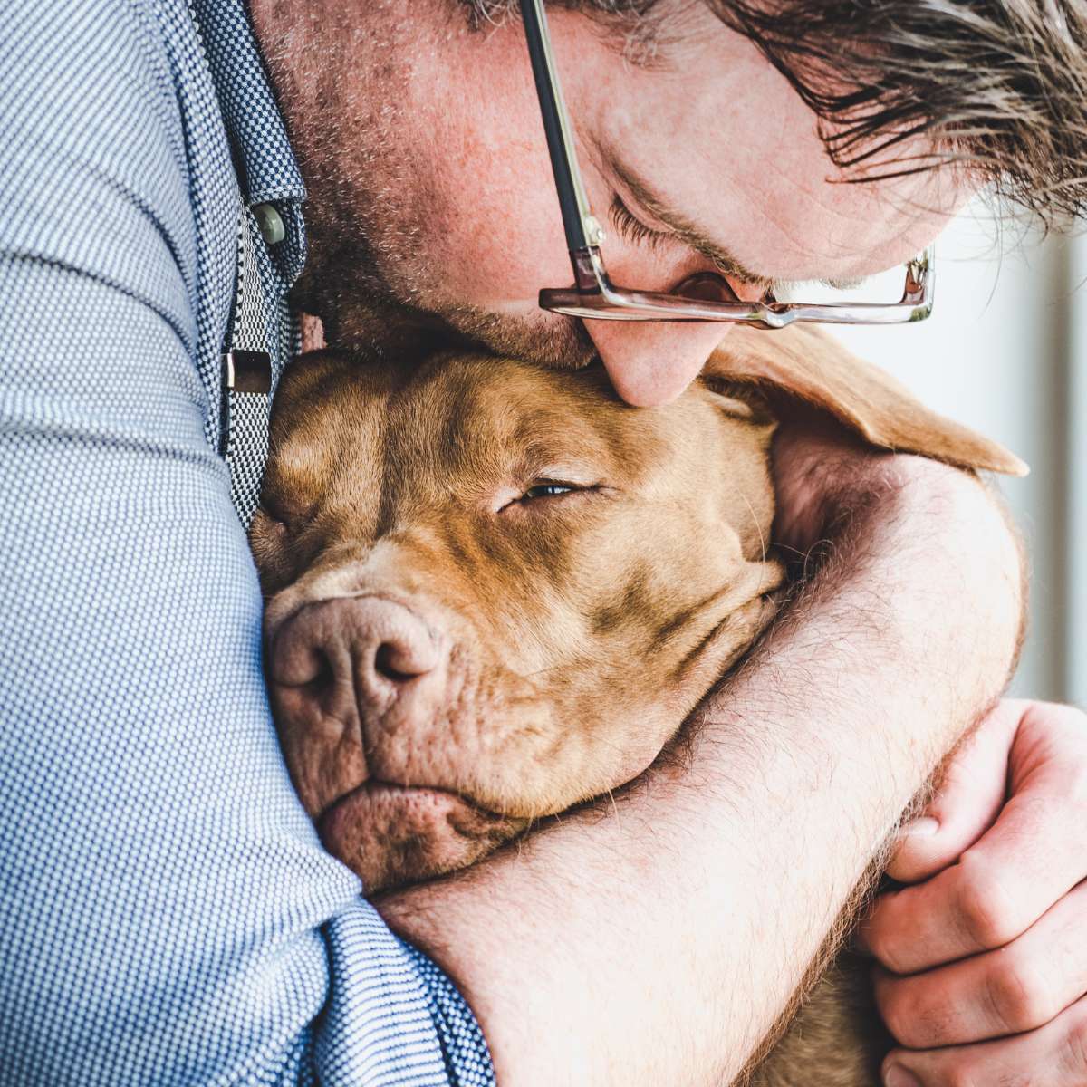 An old dog is hugged and kissed by its male owner